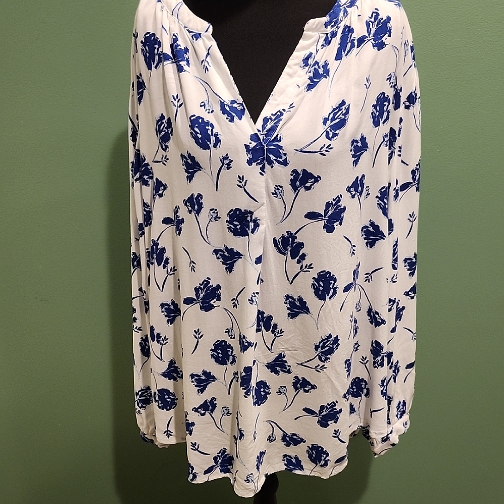 Woman Within Blue and White Floral Blouse